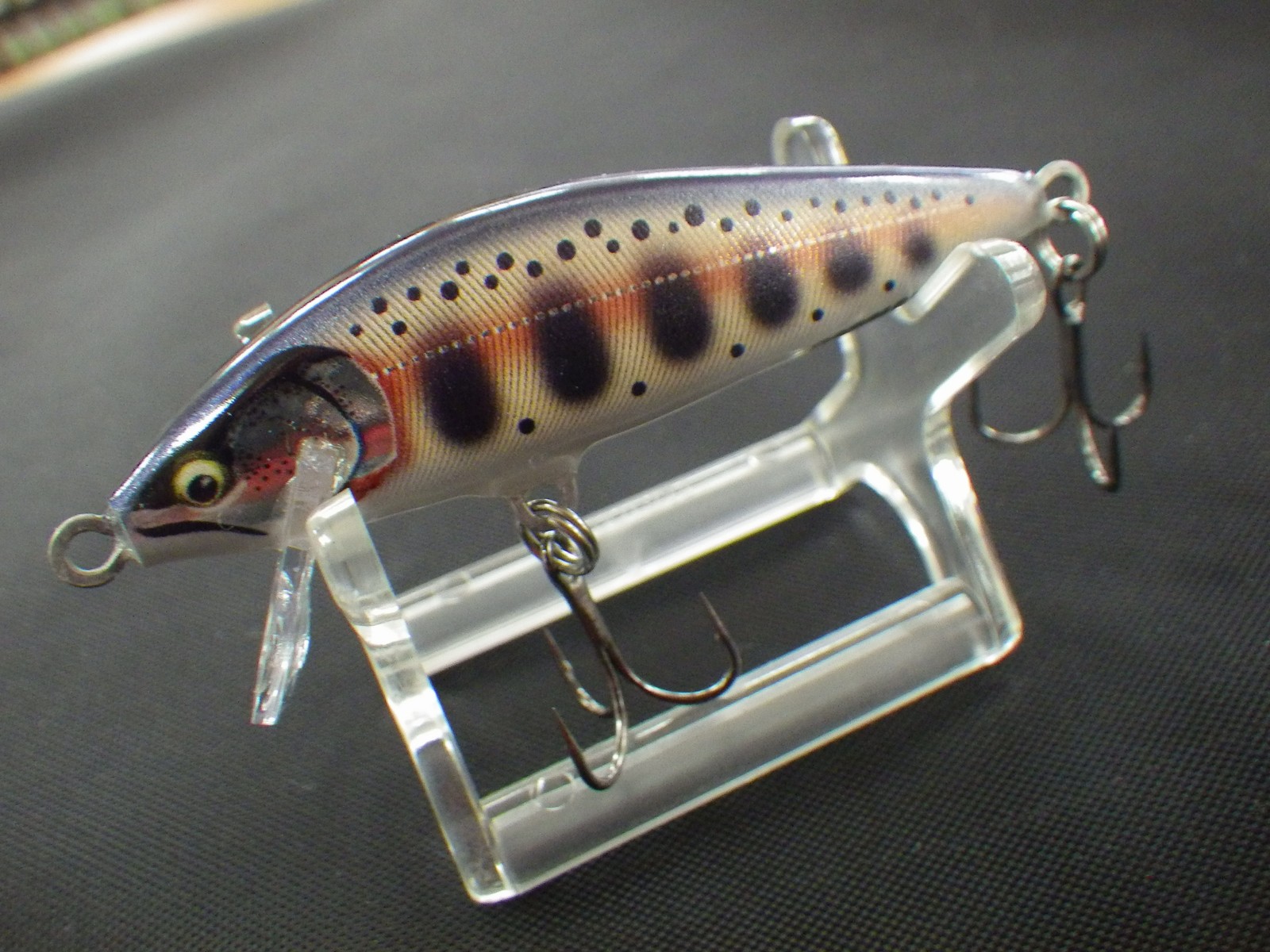 Calypso Rapara ラパラ Cde 75 カウントダウンエリート75 Gdym